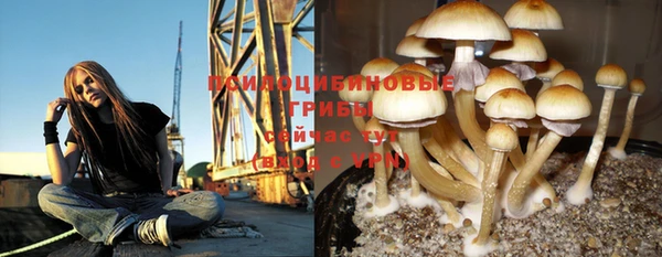 ALPHA PVP Магас