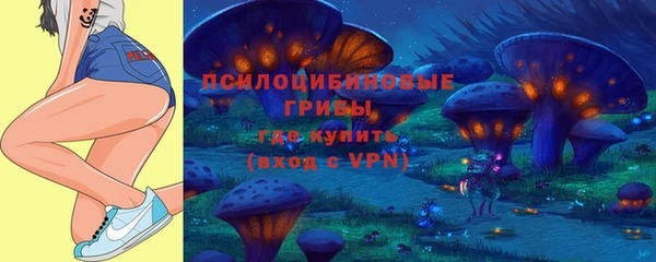 а пвп мука Медвежьегорск