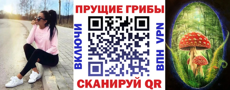 Псилоцибиновые грибы GOLDEN TEACHER где купить наркоту Шумиха